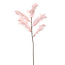 Light & Living Ornament 5 veren 129 cm FEATHER licht oud roze