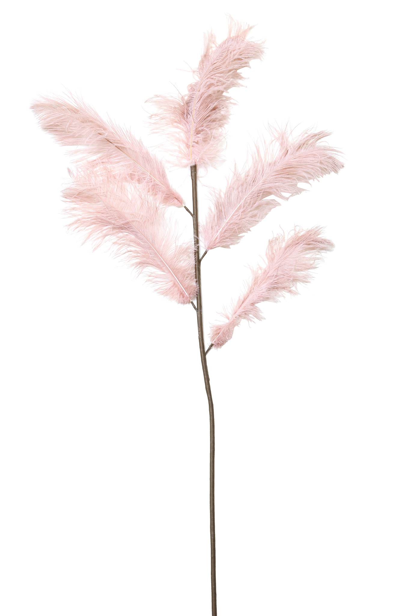 Intiem Hysterisch Politiek Ornament 5 veren 129 cm FEATHER licht oud roze - De Woon Winkel