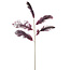 Light & Living Ornament 5 veren 129 cm FEATHER donker rood-paars