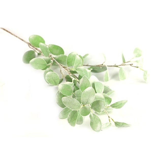 Countryfield Tak Eucalyptus groen 3