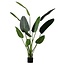 Woood Strelitzia kunstplant groen 108 of 164 cm