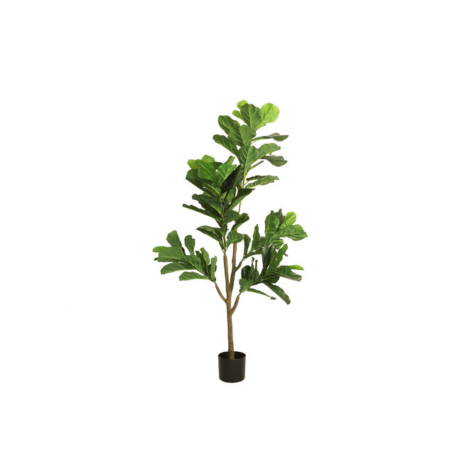 Countryfield Kunstplant Ficus lyrata groen - Diverse afmetingen