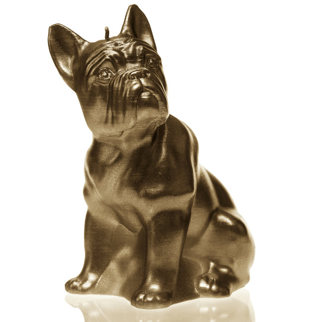 Candellana Kaars bulldog classic brass