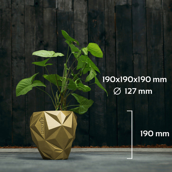 Candellana Bloempot beton Geometric 13 cm Classic Gold