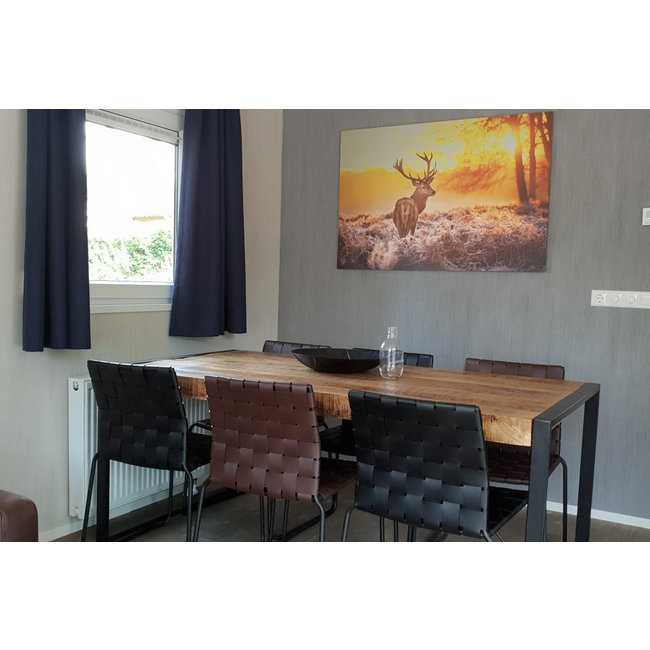 MondiArt Alu Art |  Red Deer in Morning Sun