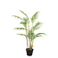 PTMD Palmboom groen in zwarte plastic pot - 148 cm hoog
