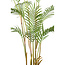 PTMD Palmboom groen in zwarte plastic pot - 148 cm hoog