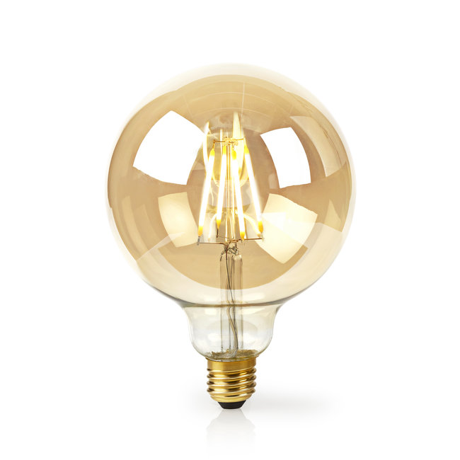 PTMD WiFi Smart LED gloeidraad gouden lamp rond