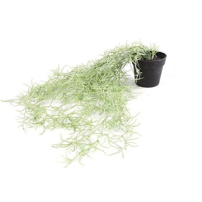 Countryfield Kunstplant Tillandsia groen