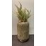 Light en Living Vaas deco Ø18x30 cm CHOW groen/wit-goud