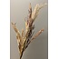 Parlane Ornament 11x2x83 cm WILD GRASS ivoor-roodbruin-groen