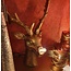 Light & Living Tafellamp 33x25x46 cm REINDEER goud