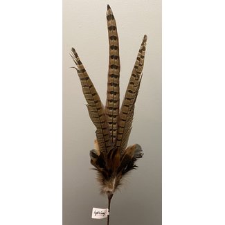 Light en Living Ornament Ø15x60 cm PHEASENT donker  bruin