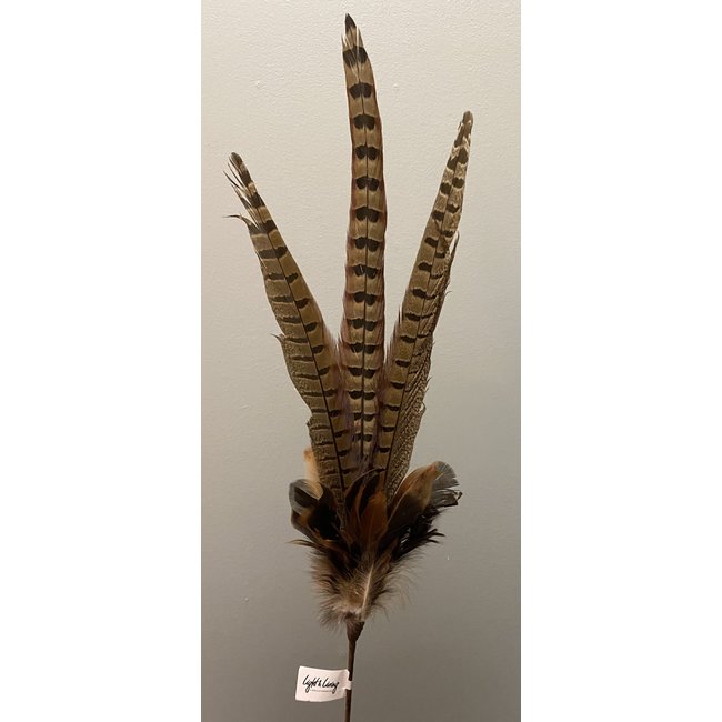 Light en Living Ornament Ø15x60 cm PHEASENT donker  bruin