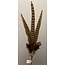 Light en Living Ornament Ø15x60 cm PHEASENT donker  bruin