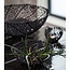 Light en Living Schaal Ø46x18 cm GALAXA mat zwart