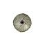 Light en Living Wandlamp Ø39x20 cm SINULA goud
