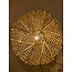 Light en Living Wandlamp Ø39x20 cm SINULA goud