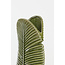Light en Living Vaas LOU keramiek groen -  2 maten