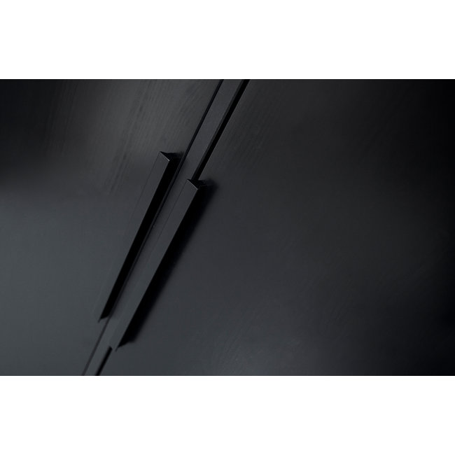 Woood Adam 2-deurs Kast Grenen Zwart [fsc]