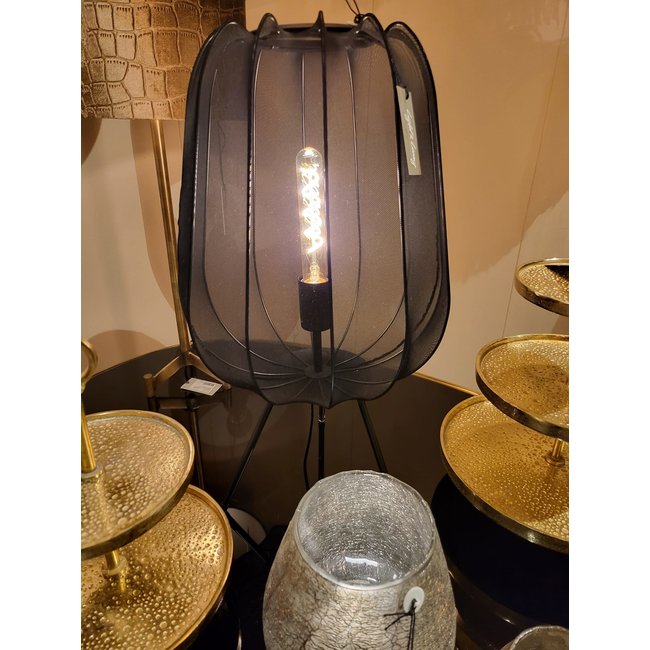 Light en Living Vloerlamp Ø42x132 cm PLUMERIA zwart