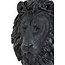 Light en Living Wandlamp 33,5x19x40,5 cm LION mat  zwart