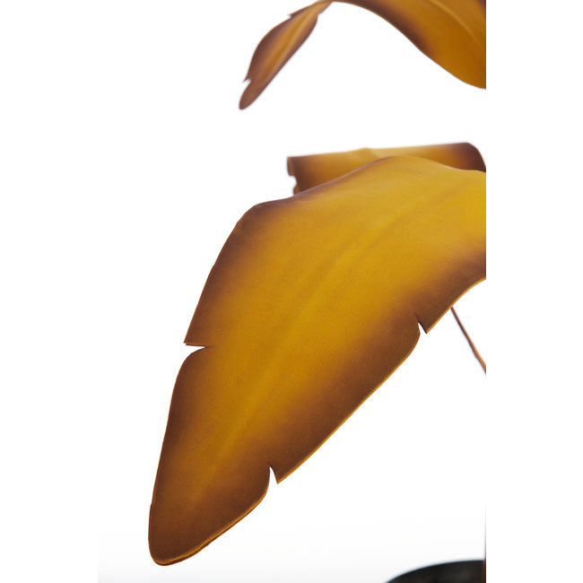 Parlane Ornament in pot STRELITZIA goud-bruin+zwart - Ø110 cm