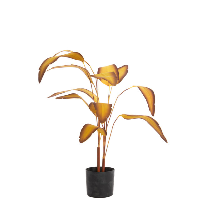 Parlane Ornament in pot STRELITZIA goud-bruin+zwart - Ø110 cm