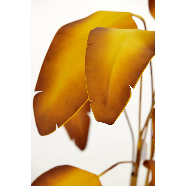 Parlane Ornament in pot STRELITZIA goud-bruin+zwart - Ø110 cm