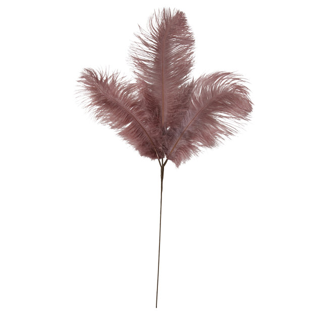 Light & Living Ornament 3 veren 30x59 cm FEATHER  donker oud roze