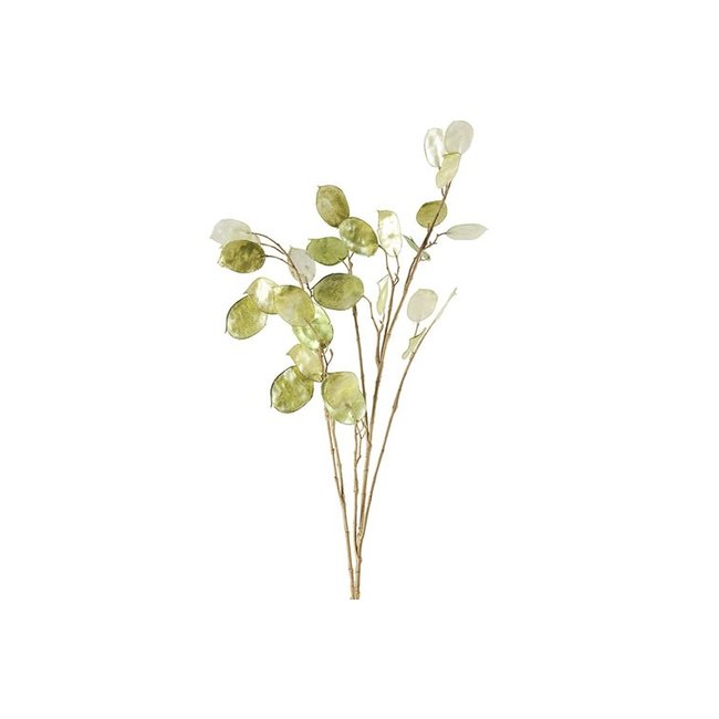 Countryfield Kunsttak Lunaria biennis L - groen