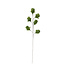 Light en Living Ornament 6 bloemen 90 cm TULIP groen