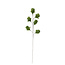 Light & Living Ornament 6 bloemen 90 cm TULIP groen