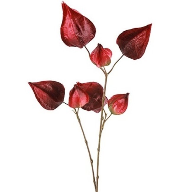 Countryfield Kunsttak Physalis vuur rood