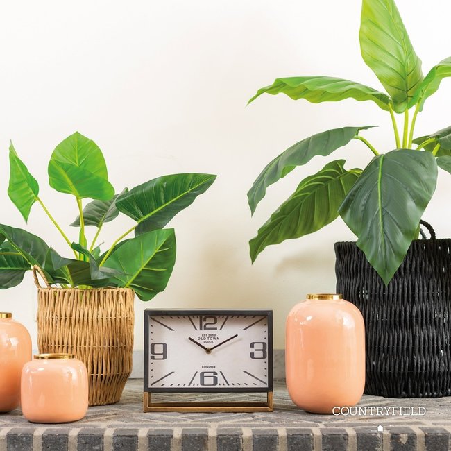 Countryfield Vaas Madras oud roze -  Maat S of L