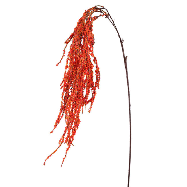 PTMD Kunsttak Twig Plant orange amaranthus hanging spray