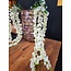 PTMD Kunsttak Garden Flower white wisteria flower hanging