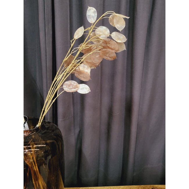 Countryfield Kunsttak Lunaria biennis L - bruin of groen