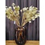 Countryfield Kunsttak Lunaria biennis L - groen