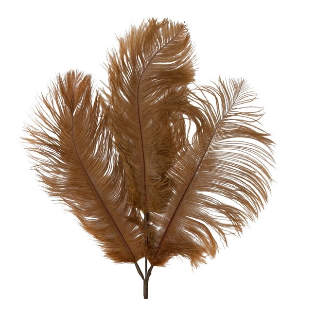 Light & Living Ornament 3 veren 30x59 cm FEATHER  karamel