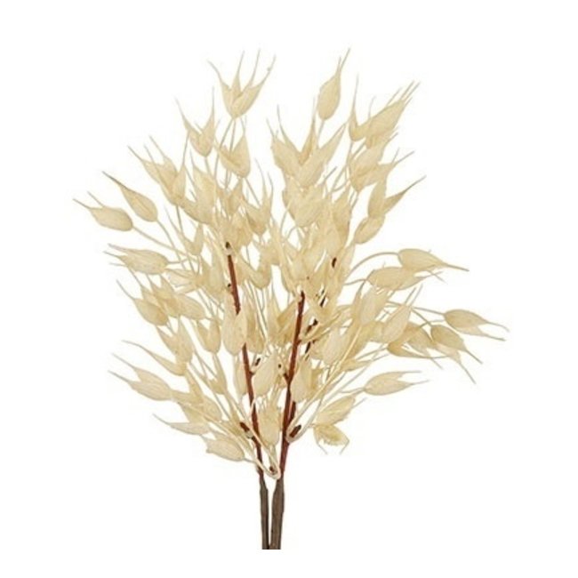 Countryfield Tarwe tak bundel crème