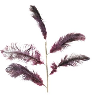 Light & Living Ornament 5 veren 129 cm FEATHER donker rood-paars