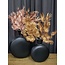 Parlane Ornament 10x2x73 cm PALM metallic  blush