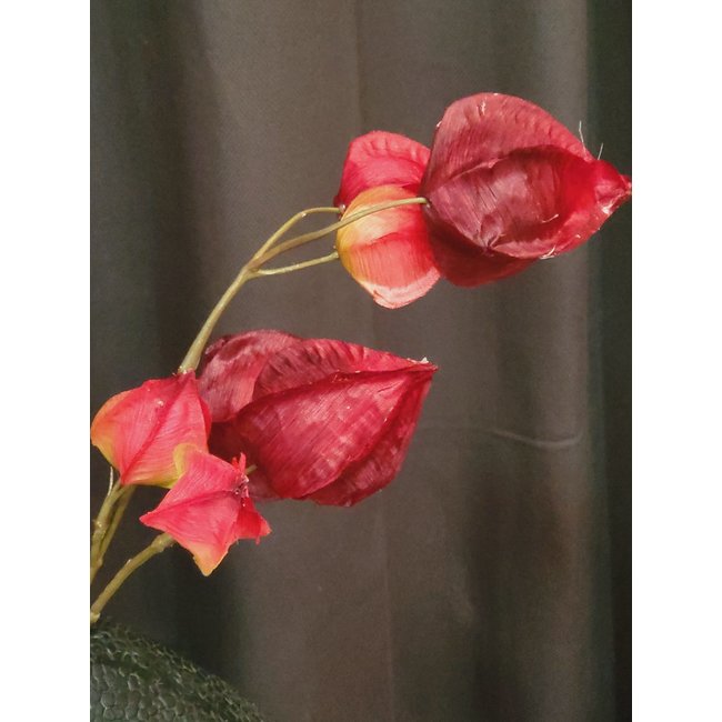 Countryfield Kunsttak Physalis vuur rood