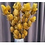 Light en Living Ornament 6 bloemen 90 cm TULIP  okergeel