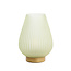 Light en Living Tafellamp LED TAJERA glas mat licht groen+goud - 2 afmetingen