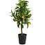 Countryfield Kunstplant Citrus Limon geel 75 cm hoog