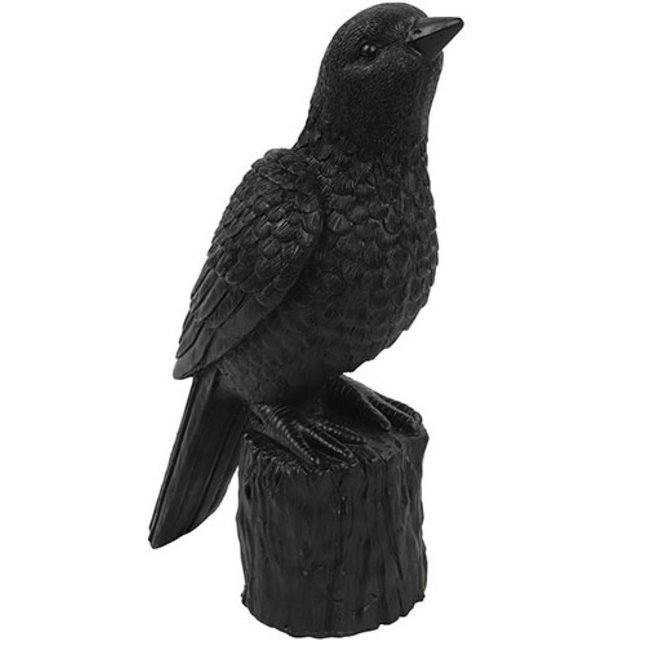 Countryfield Ornament Vogel Karolus L zwart