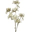 Countryfield Kunsttak Hydrangea creme