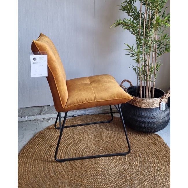 Wildeboer & v/d Weide Eettafelstoel Ivo - Diverse kleuren